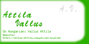 attila vallus business card